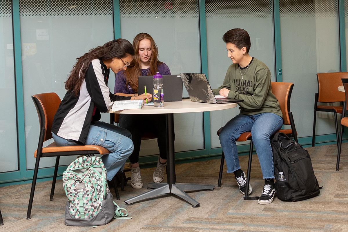 Group of students studying in front of their laptops